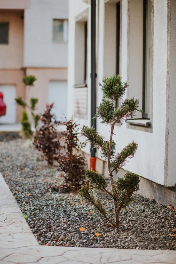 The Nook Aparthotel Temešvár Exteriér fotografie